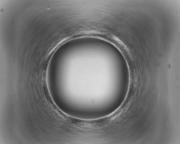 X0000082141361200701191133