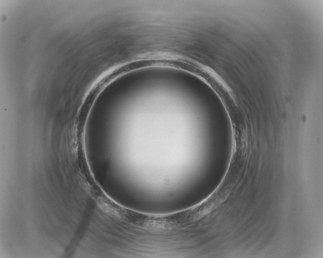 X0000082141364200701191133