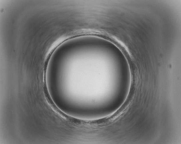 X0000082141365200701191133