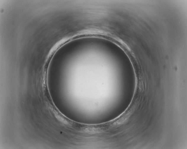 X0000082141366200701191133