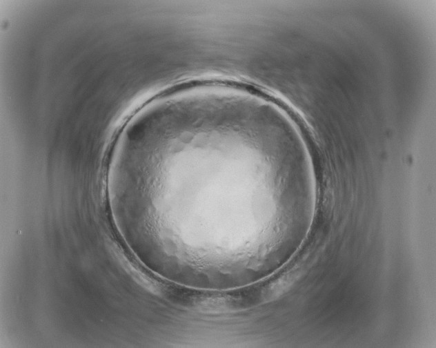 X0000082141367200701191133