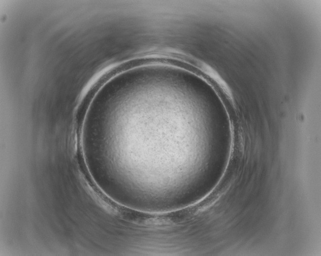 X0000082141368200701191133