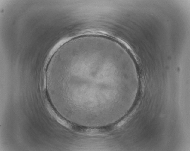 X0000082141371200701191133