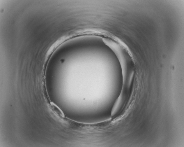 X0000082141373200701191133