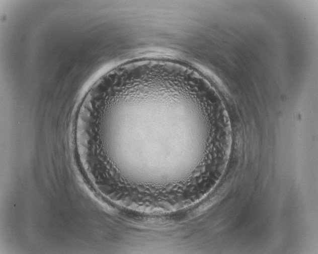 X0000082141375200701191133