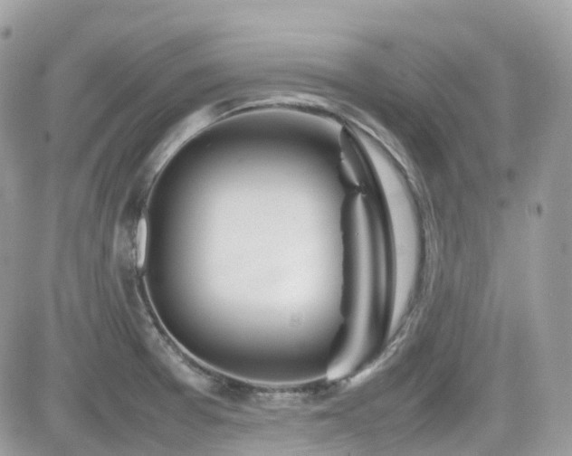 X0000082141377200701191133