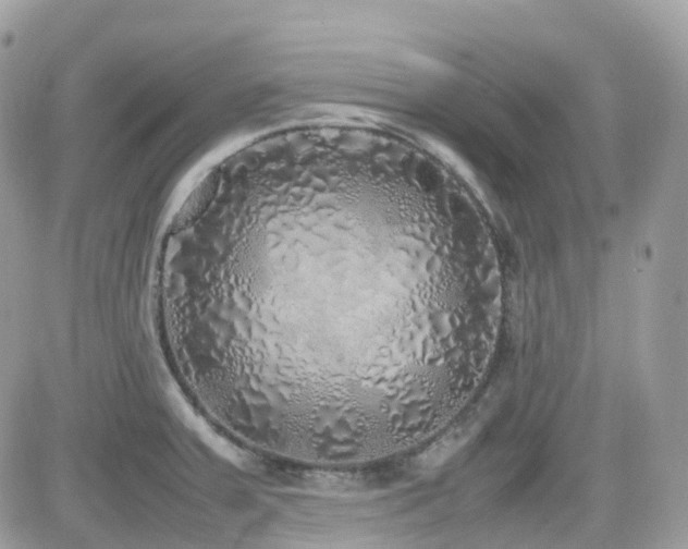 X0000082141379200701191133