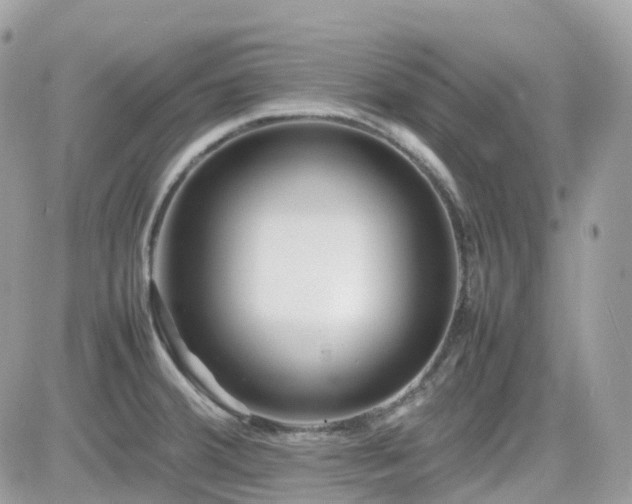 X0000082141380200701191133