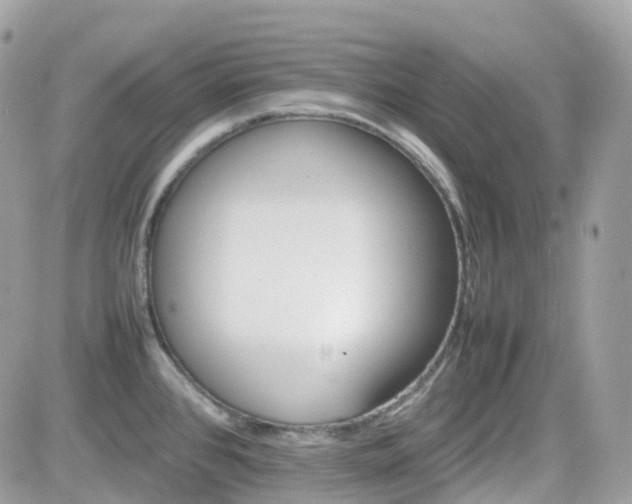 X0000082141384200701191133