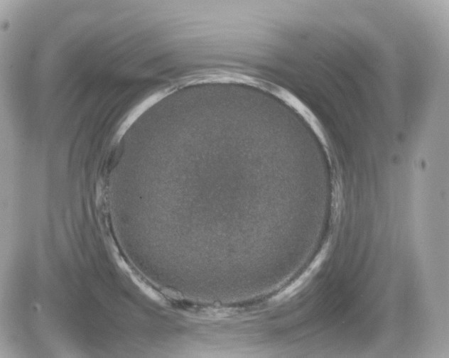 X0000082141385200701191133