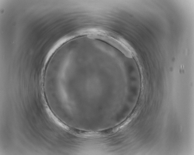 X0000082141392200701191133