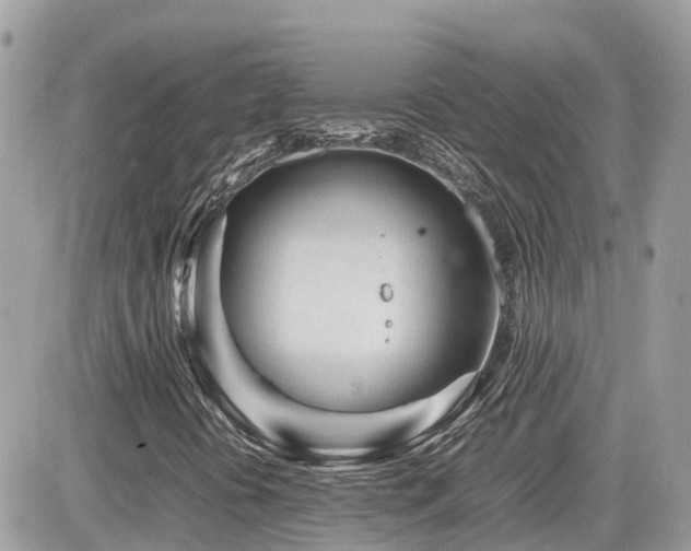 X0000082141394200701191132