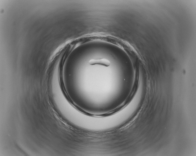 X0000082141406200701191132