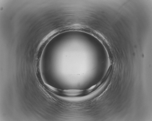 X0000082141410200701191132