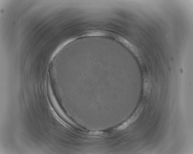 X0000082141417200701191133