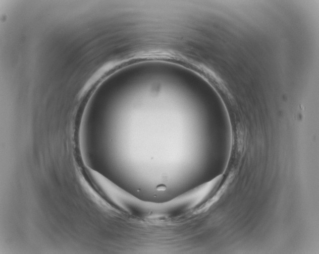 X0000082141422200701191133