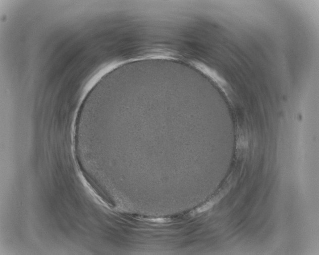 X0000082141423200701191133