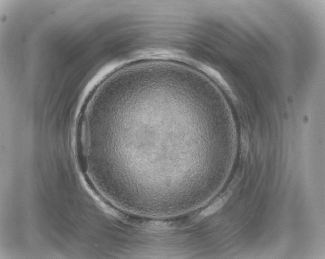 X0000082141424200701191133