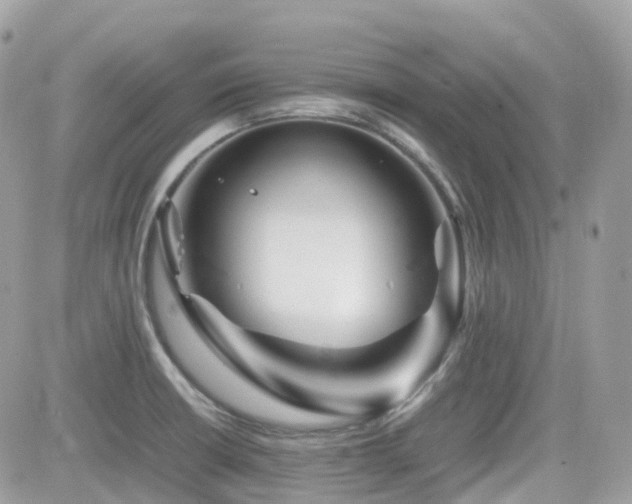 X0000082141426200701191133