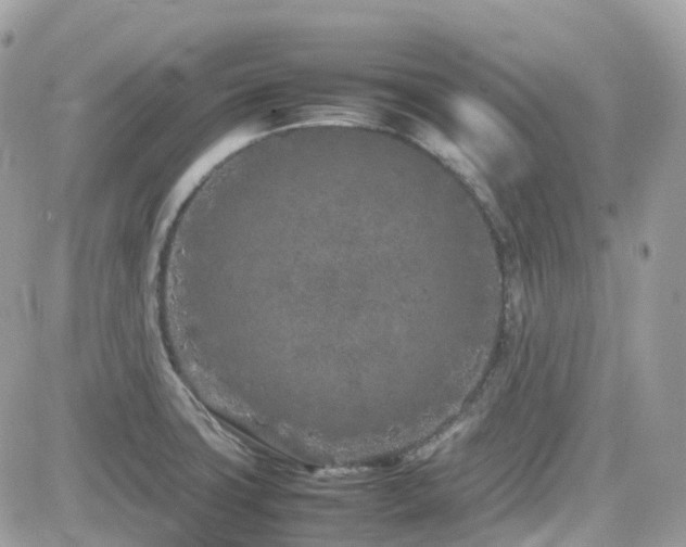 X0000082141427200701191133