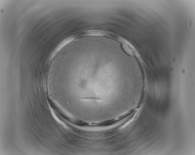 X0000082141433200701191133