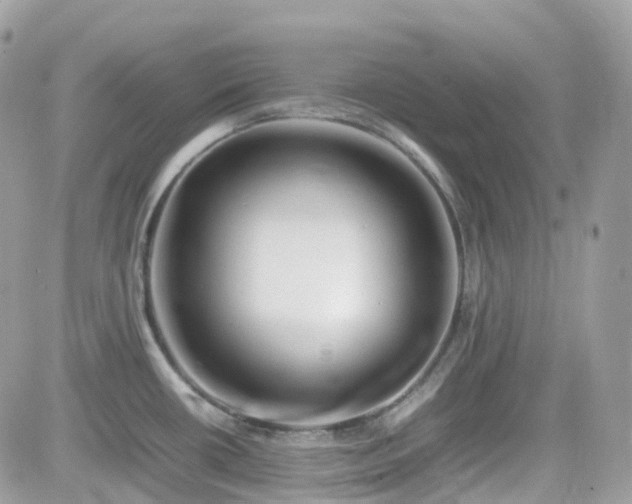 X0000082141434200701191133