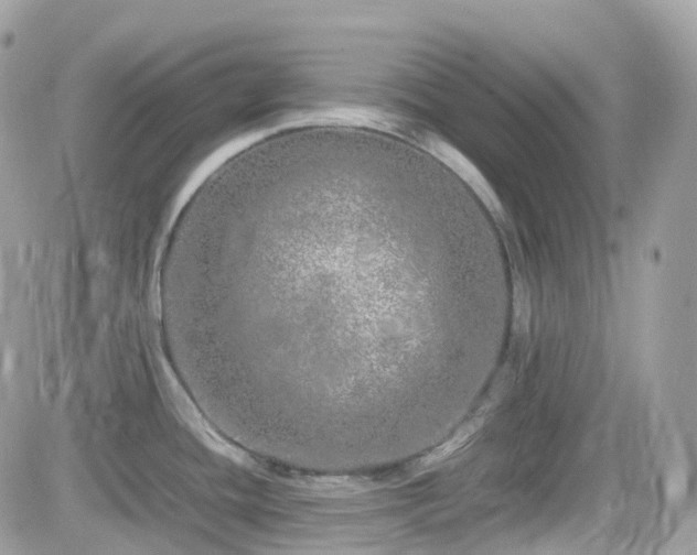 X0000082141436200701191133