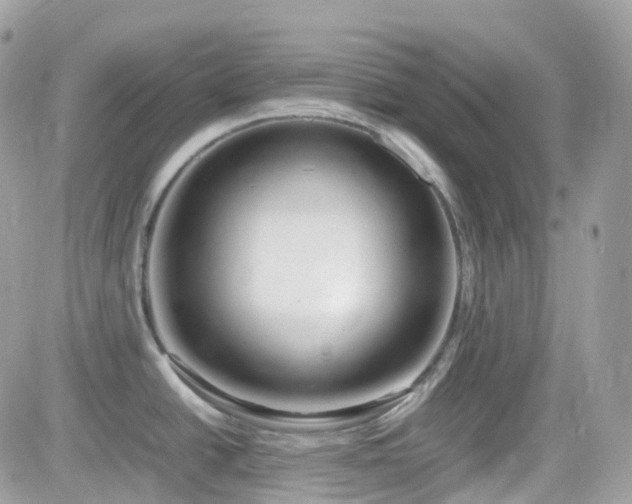 X0000082141438200701191133