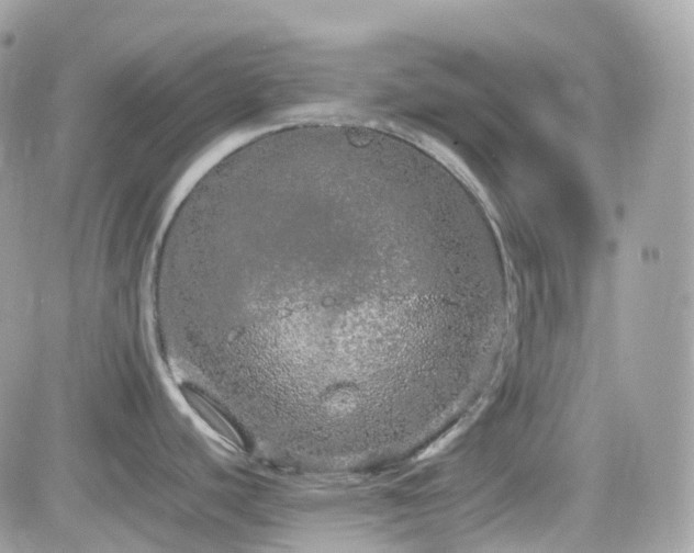 X0000082141440200701191133