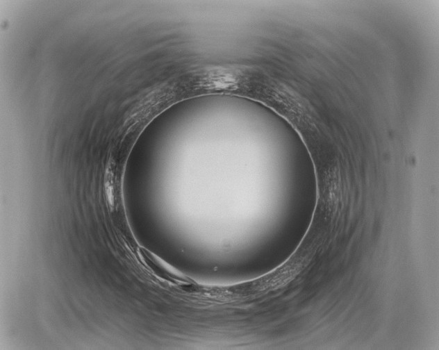 X0000082141442200701191132