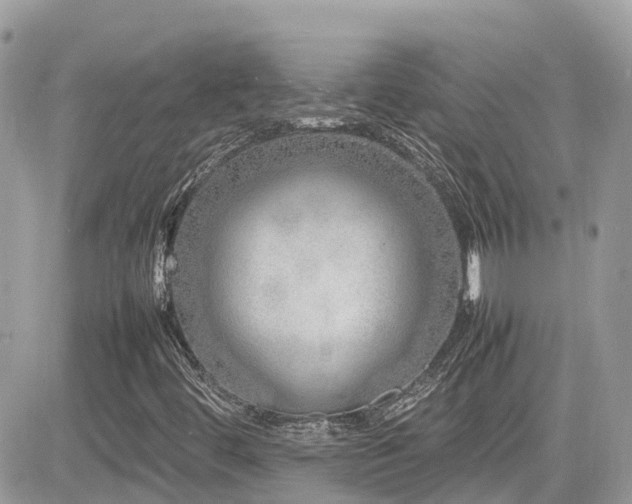X0000082141444200701191132