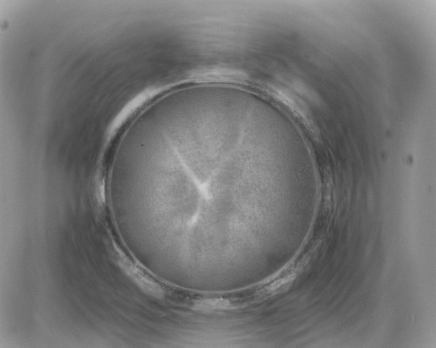 X0000082141462200701191132