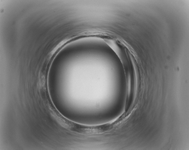 X0000082141465200701191132