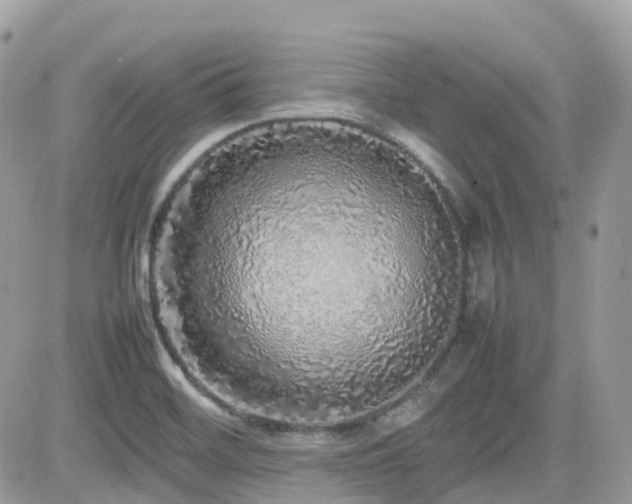 X0000082141468200701191132