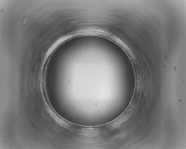 X0000082141478200701191131