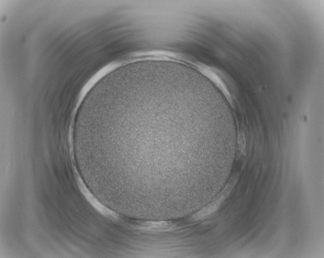X0000082141482200701191131