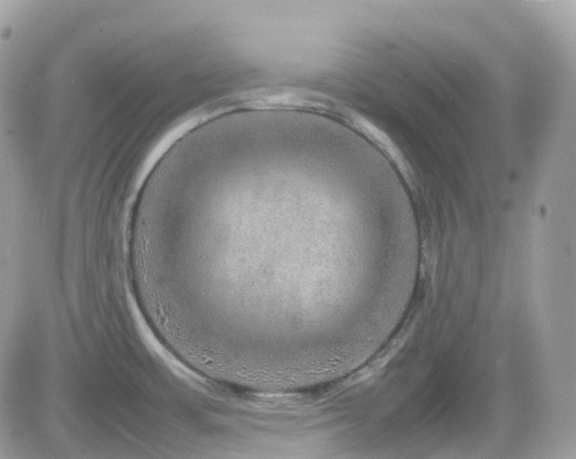 X0000082141483200701191131