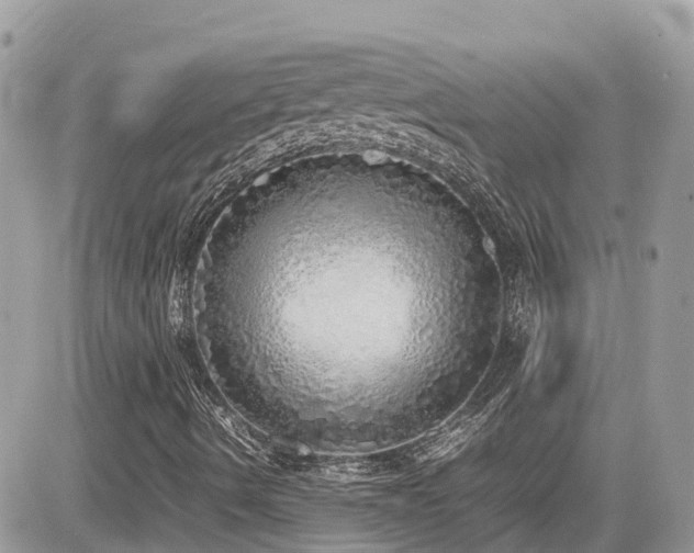 X0000082141490200701191131