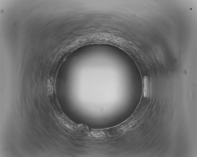X0000082141491200701191131