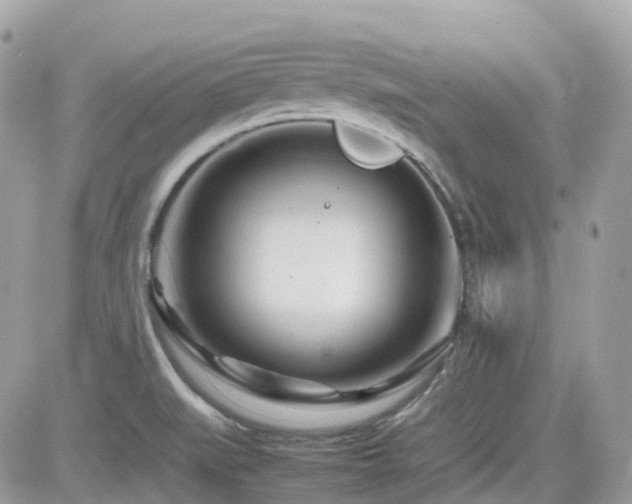X0000082141519200701191131