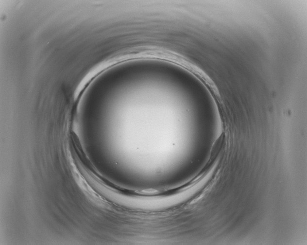 X0000082141530200701191131