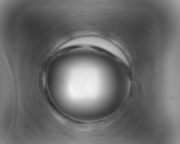 X0000082140013200701262254