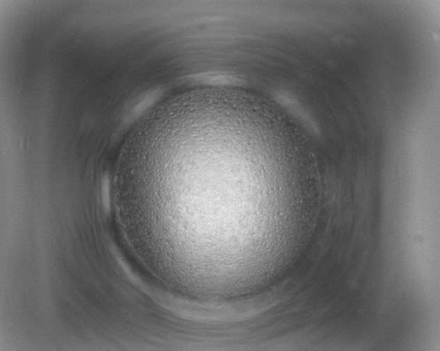 X0000082140014200701262254