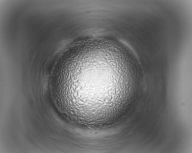 X0000082140018200701262254