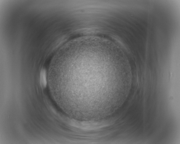 X0000082140022200701262254