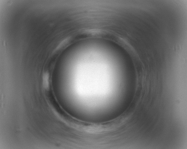 X0000082140024200701262254