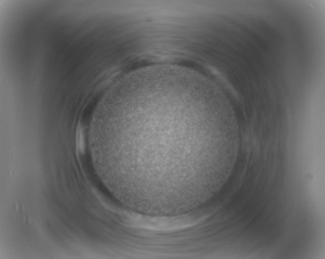 X0000082140026200701262254