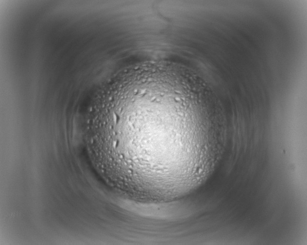 X0000082140030200701262254