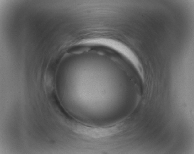X0000082140031200701262254