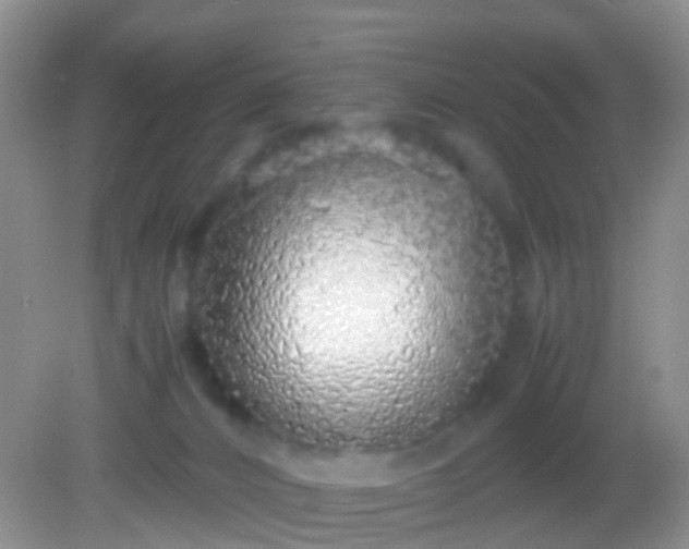 X0000082140032200701262254